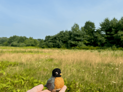 A mostly out of frame hand in the center holds a needle-felted American Robin aloft in front of a field of meadows in mid summer.