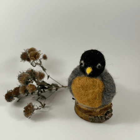 A needle-felted American Robin sits on a half inch section of a branch faces 1/4 left towards the camera. A dried spray of New England aster lies behind it. Its head is black, its eyes circled with white, its breast rusty orange, its wings grey.