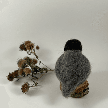 A needle-felted American Robin sits on a half inch section of a branch faces away from the camera. A dried spray of New England aster lies behind it. Its head is black, its back, wings and tails are grey.