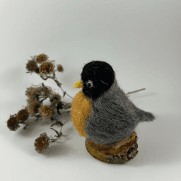 A needle-felted American Robin sits on a half inch section of a branch faces towards the left in profile. A dried spray of New England aster lies behind it. Its head is black, its back, wings and tails are grey. Its rusty-orange breast is very round, its wings, tail and back grey, its head black.