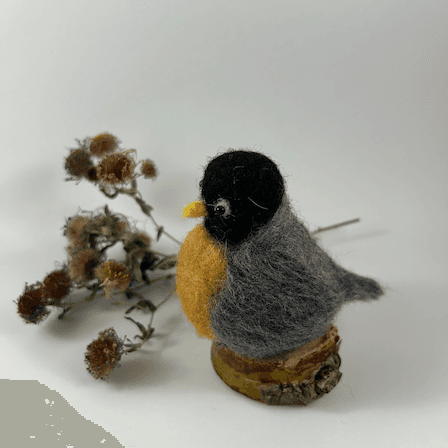 A needle-felted American Robin sits on a half inch section of a branch faces towards the left in profile. A dried spray of New England aster lies behind it. Its head is black, its back, wings and tails are grey. Its rusty-orange breast is very round, its wings, tail and back grey, its head black.