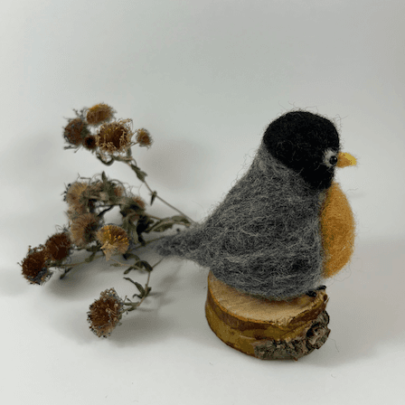 A needle-felted American Robin sits on a half inch section of a branch faces towards the right in profile. A dried spray of New England aster lies behind it. Its head is black, its back, wings and tails are grey. Its rusty-orange breast is very round, its wings, tail and back grey, its head black.