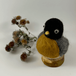 A needle-felted American Robin sits on a half inch section of a branch faces 1/4 towards the left. A dried spray of New England aster lies behind it. Its head is black, its back, wings and tails are grey. Its white-lined eyes lie far apart giving a derpy look. Its head is black, its beak yellow, its breast rusty orange, its round wings grey.