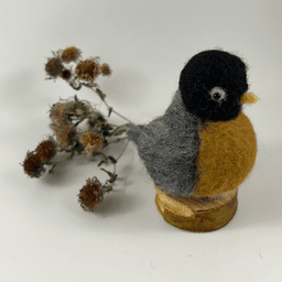 A needle-felted American Robin sits on a half inch section of a branch faces towards the right in profile. A dried spray of New England aster lies behind it. Its head is black, its back, wings and tails are grey. Its white-lined left eye is far from its beak giving it a derpy look. Its head is black, its beak yellow, its breast rusty orange, its round wings grey.