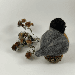 A needle-felted American Robin sits on a half inch section of a branch faces away from the camera facing 1/4 towards the right. A dried spray of New England aster lies behind it. Its head is black, its back, wings and tails are grey, and a peek of its breast is rusty orange.