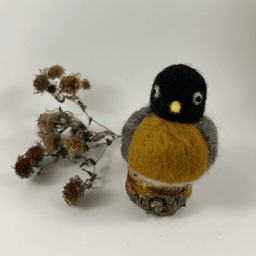 A needle-felted American Robin sits on a half inch section of a branch faces directly towards the camera. A dried spray of New England aster lies behind it. Its head is black, its far-apart eyes circled with white, its breast rusty orange, its wings grey.