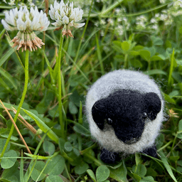 A needle-felted horned sheep with black head, horns and legs and light grey fleece faces the camera directly. The sheep sits on clover, with flowering clovers in the background.