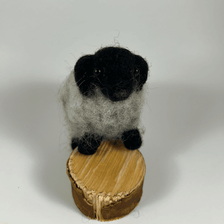 A needle-felted horned sheep with black head, horns and legs and light grey fleece stands its forelegs on a half inch thick cut section of branch, facing almost directly towards the camera.