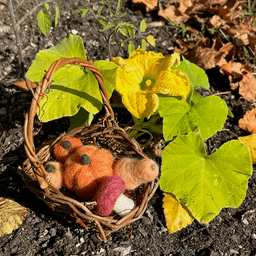 A small viney basket sits on the ground next to a butternut squash plant. The basket holds a mushroom, a butternut squash, and three pumpkins of different shades of orange.