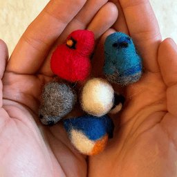 From overhead, two hands held cupped together hold five miniature needle felted borbs in various positions. Clockwise from top left: a Northern cardinal facing left, a Palestine sunbird facing towards the sky, a black-capped chickadee on its back, an Eastern bluebird partially face-down, and a grey catbird upside down.