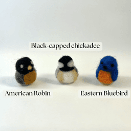 Three miniature needle felted borbs labelled left to right: American robin, black-capped chickadee, Eastern bluebird.