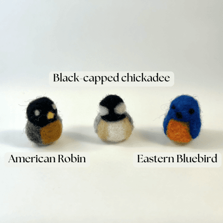 Three miniature needle felted borbs labelled left to right: American robin, black-capped chickadee, Eastern bluebird.