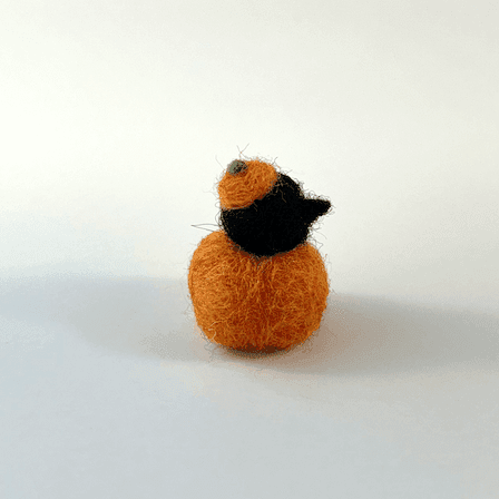 A tiny needle-felted black corvid borb pokes its head out of an orange pumpkin, wearing a pumpkin stem hat. The mini borb faces right.