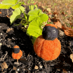 Two needle felted borbs sit in front of a garden squash plant illuminated by the morning sun. They’re both black corvids with their heads sticking out of a pumpkin with a pumpkin stem hat. The right borb is a couple inches tall and wide, but the left is a miniature version that could fit on a US penny.