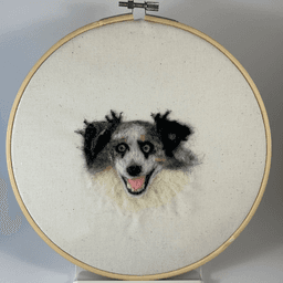 Needle felted wool portrait of a blue eyed Australian shepherd’s face in an 8 inch embroidery frame. The dog’s mouth is relaxed open in a smile. His ears are black, his face mostly white with mottled black, grey and tan. His neck is fluffy warm white. 