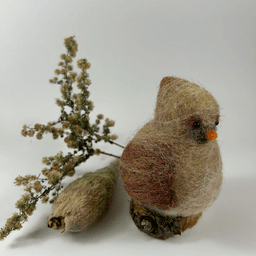 A female needle-felted Northern cardinal sits on a half-inch circle of cut branch, facing 3/4 towards the right. There is a spray of goldenrod and a milkweed pod husk in the background. Her body is a buff cream color, her wings, crest and tail are wine-stained, her beak orange. His crest is short and round.